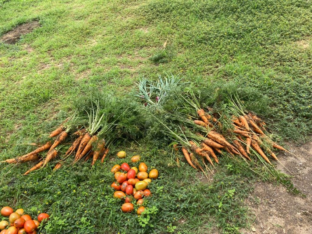 photo 2025 12 24 08 42 17