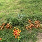 photo 2025 12 24 08 42 17