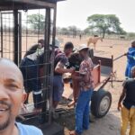 whatsapp image 2025 12 09 at 14.35.02