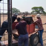 whatsapp image 2025 12 09 at 14.51.11