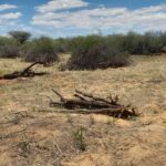 whatsapp image 2025 12 09 at 18.21.19 (2)