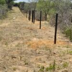 whatsapp image 2025 12 09 at 18.21.20 (1)