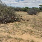 whatsapp image 2025 12 09 at 18.21.20