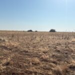 whatsapp image 2025 12 09 at 18.23.40