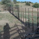 whatsapp image 2025 12 18 at 09.04.07 (2)