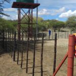 whatsapp image 2025 12 19 at 11.08.28