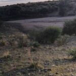 whatsapp image 2025 12 19 at 11.08.29 (1)