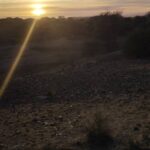 whatsapp image 2025 12 19 at 11.08.30