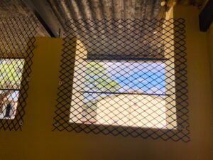 whatsapp image 2026 01 20 at 11.20.56 (1)