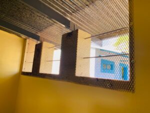 whatsapp image 2026 01 20 at 11.20.58 (1)