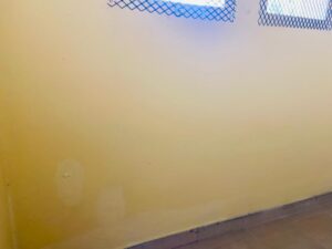 whatsapp image 2026 01 20 at 11.20.58 (2)